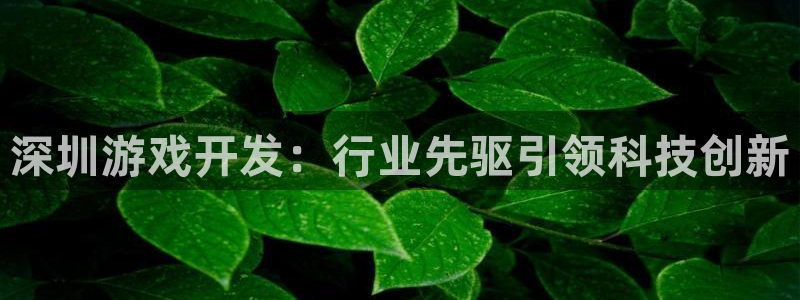 沐鸣娱乐2多彩平台