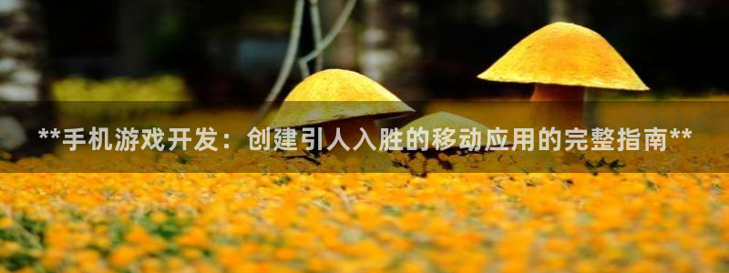 沐鸣娱乐2官网