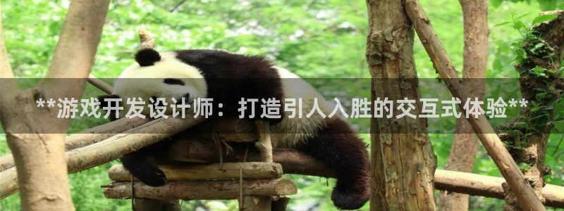 沐鸣2平台负责人