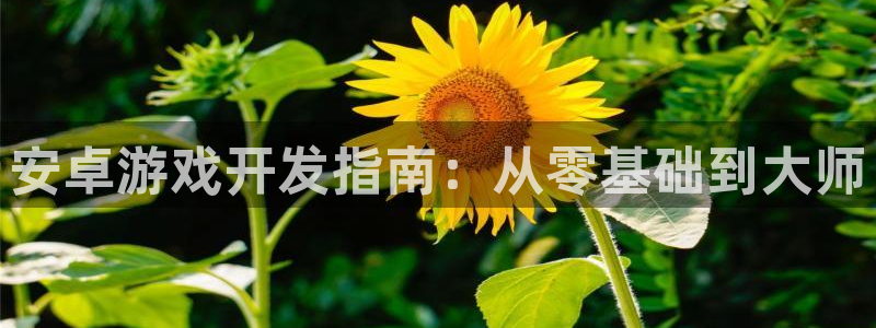 沐鸣2联盟