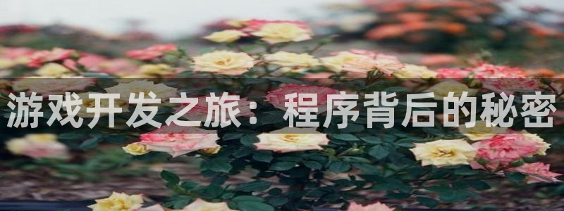 沐鸣2手机网页版