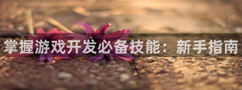 沐鸣娱乐2返点