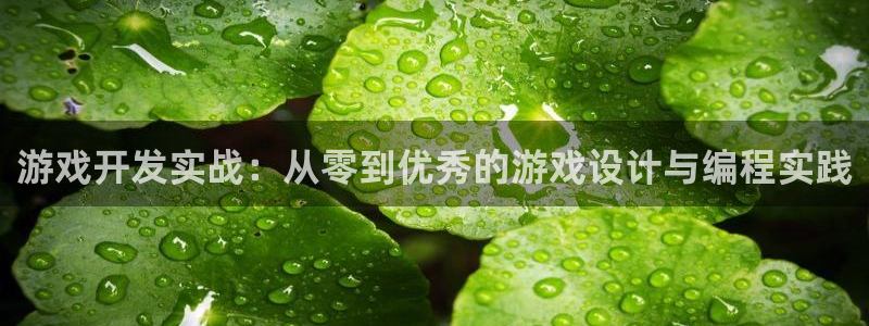 沐鸣2主管：游戏开发实战：从零到优秀的游戏设计与编程实践