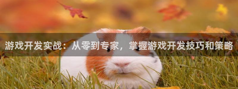 沐鸣2平台主管代理：游戏开发实战：从零到专家，掌握游戏开发技巧和策略