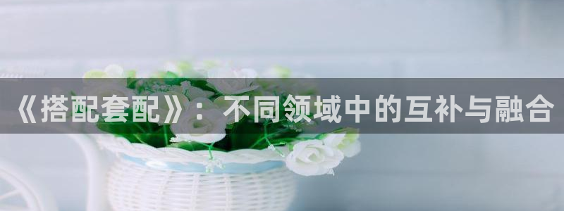 沐鸣娱乐2登录平台官网网址：《搭配套配》：不同领域中的互补与融合