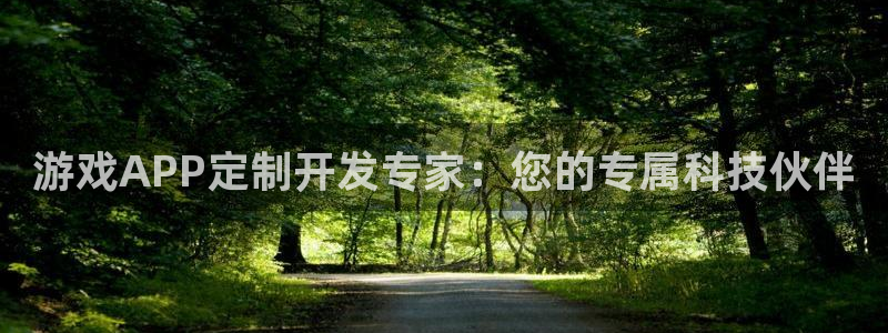 沐鸣2app下载：游戏APP定制开发专家：您的专属科技伙伴