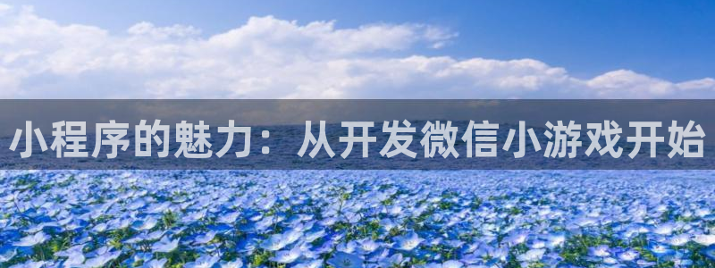 沐鸣娱乐2l怎么样：小程序的魅力：从开发微信小游戏开始