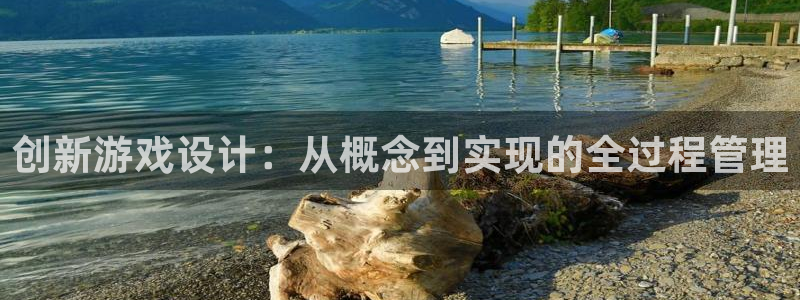 沐鸣2平台测速登录：创新游戏设计：从概念到实现的全过程管理