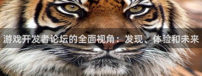 沐鸣2注册登陆：游戏开发者论坛的全面视角：发现、体验和未来