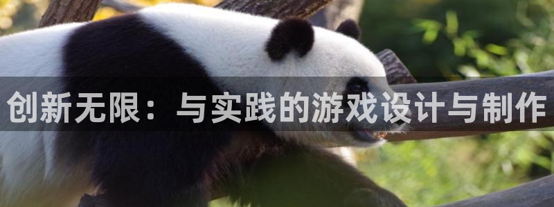 沐鸣2注册登陆：创新无限：与实践的游戏设计与制作