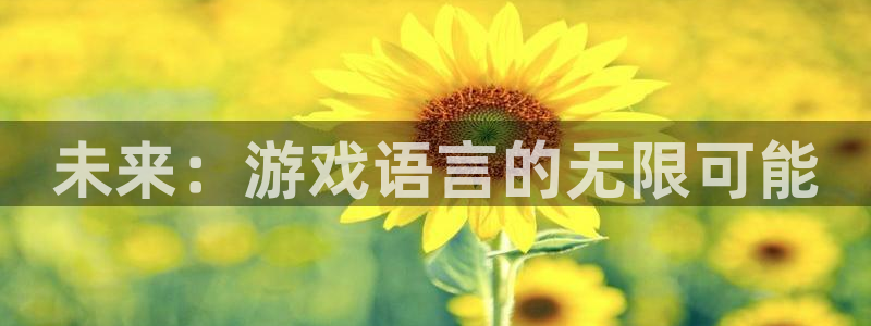 沐鸣娱乐2登录平台官网入口：未来：游戏语言的无限可能