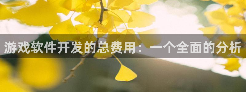 沐鸣2娱乐登录测速：游戏软件开发的总费用：一个全面的分析