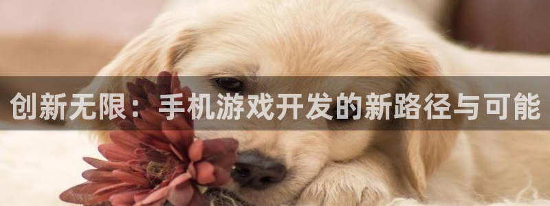 沐鸣娱乐2登录平台是什么：创新无限：手机游戏开发的新路径与可能