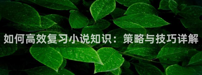 盗墓笔记小说趣笔阁