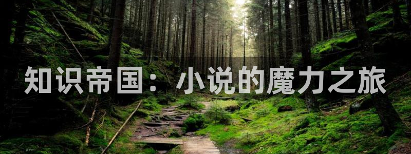 阿宾正传1—72与钰慧趣笔阁txt